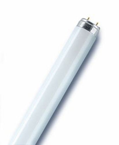 Лампа люмінесцентна OSRAM Basic T8 58W 6500К G13 (4008321959850)