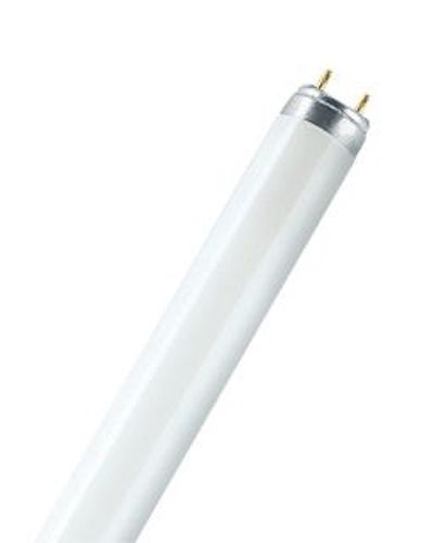 Лампа люмінесцентна OSRAM OSRAM NATURA T8 36W 3500К G13