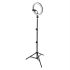 LED світильник кільцевий LEDVANCE Linear LED Mobile Ring Tripod