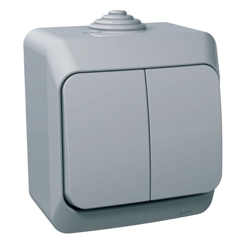 Вимикач освітлення двоклавішний Schneider Electric сірий Cedar Plus IP44