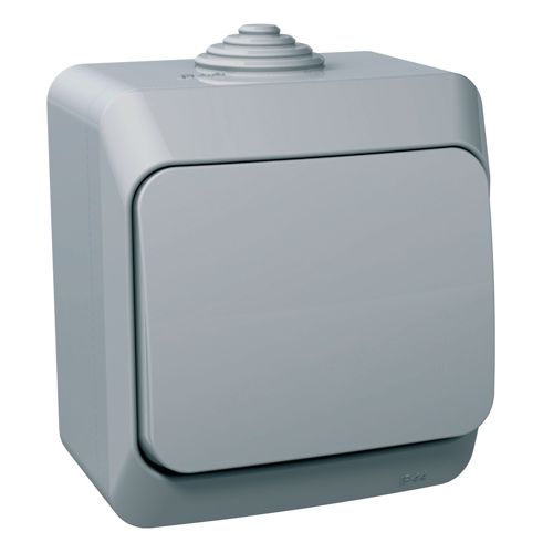 Вимикач освітлення одноклавішний Schneider Electric сірий Cedar Plus IP44